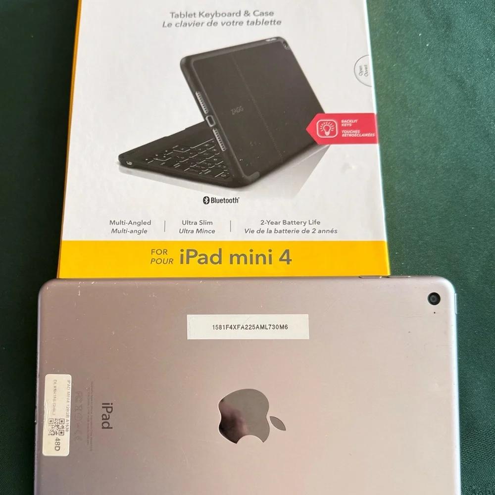 iPad Mini 4, 64 GB. Great portable unit. Free hard case and wireless keyboard